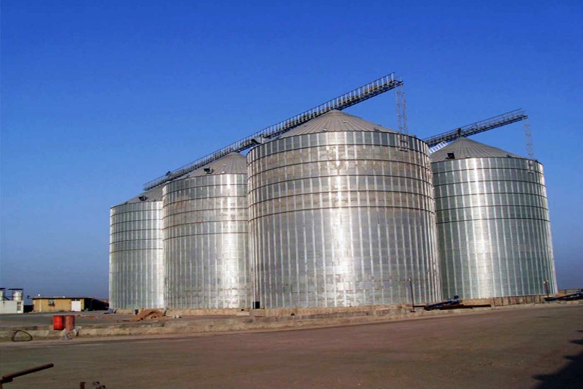 سیلوی گندم