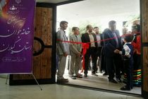 شبکه‌های کارآفرینی در کشور تقویت می‌شوند