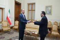 تقدیم استوارنامه سفیر جمهوری پرو در تهران به امیرعبداللهیان