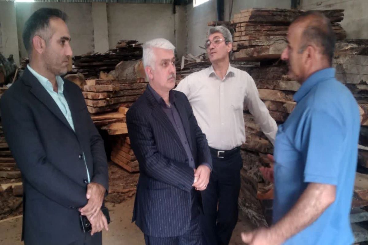 مدیرکل امور روستایی و شوراهای استانداری مازندران