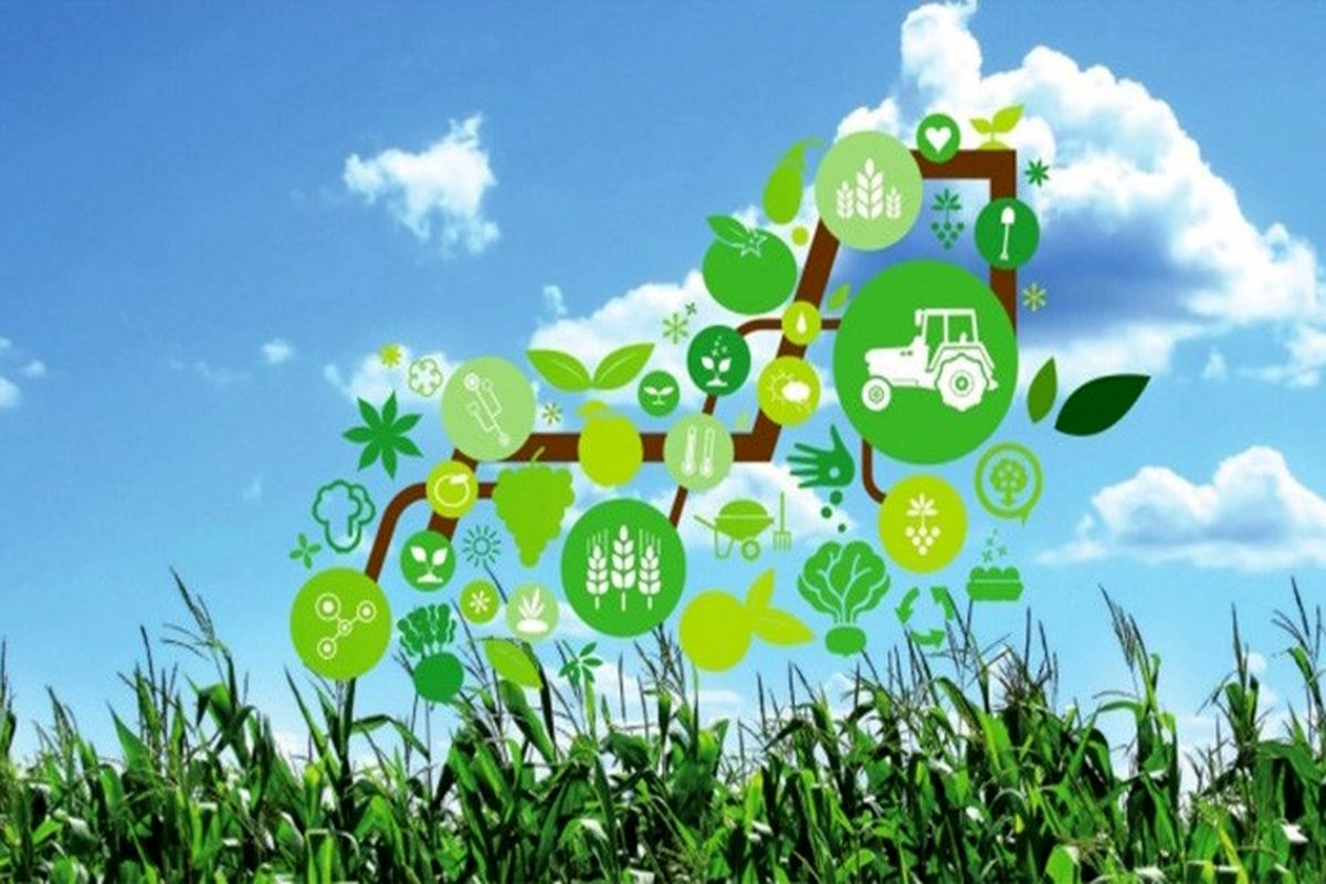  کسب‌وکارهای مبتنی بر اینترنت مزرعه و غذا 