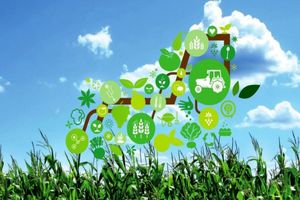 ایران در رده کشورهای منبع محور در چرخه نوآوری کشاورزی است