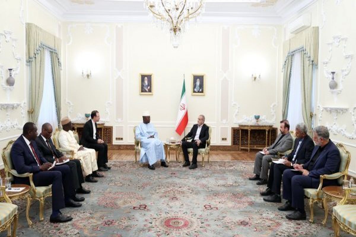 رئیس‌جمهور در در دیدار با رئیس مجلس کشور مالی