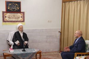 با تصویب مجلس، زمین برای ساخت مسکن باید در اختیار مردم قرار بگیرد