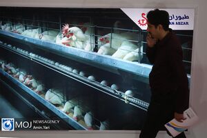 هجدهمین نمایشگاه دام، طیور و صنایع وابسته