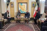 ورود وزیر کشور پاکستان به تهران