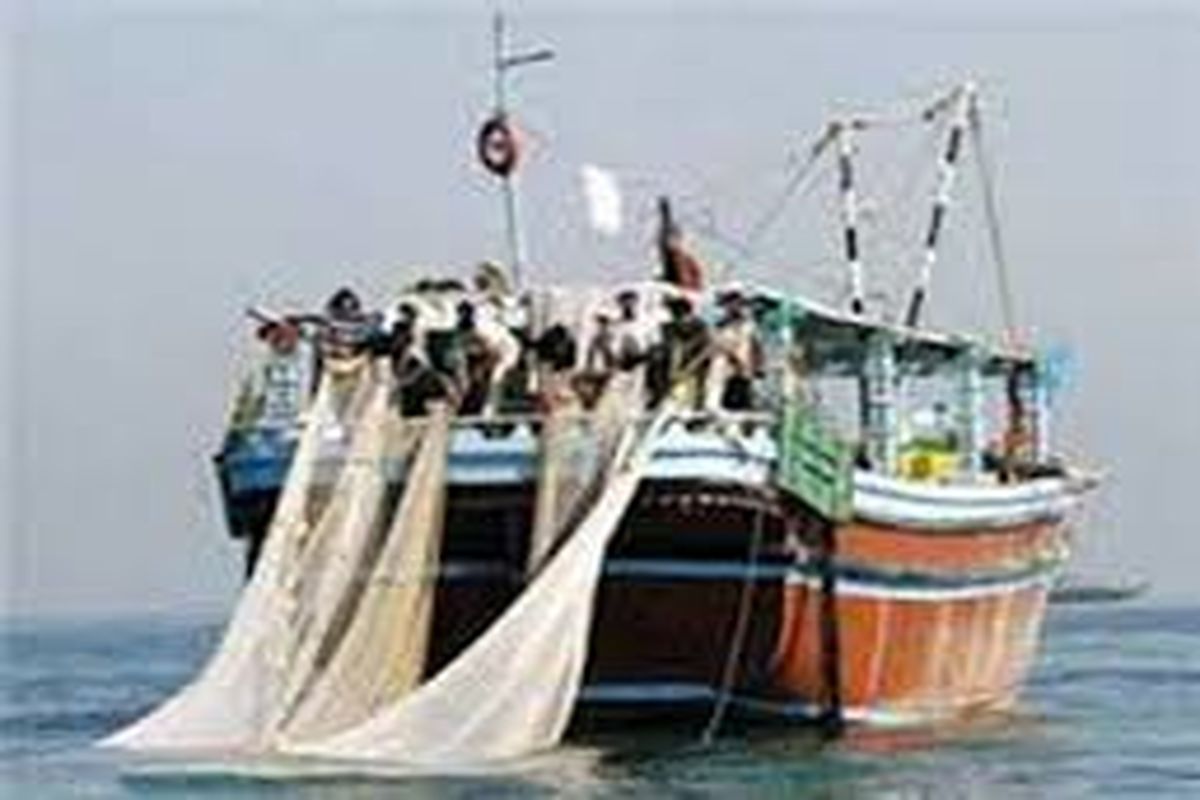 صیادی