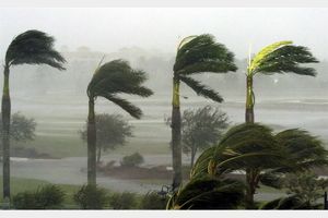 گزارش سرعت باد از ایستگاه های هواشناسی هرمزگان