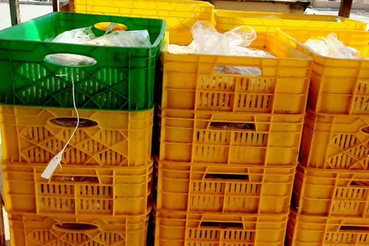 گوشت مرغ غیرقابل مصرف