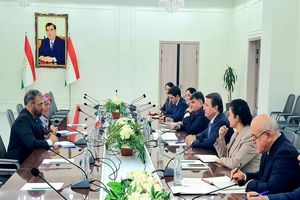 سفیر ایران در دوشنبه بر تشکیل «کمیته مشترک سلامت» ایران و تاجیکستان تاکید کرد