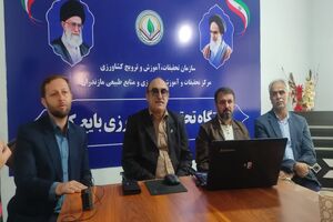 سنگر دانش در مزارع مازندران/ پایداری تولید با بذرهای اصلاح‌شده تضمین شد