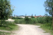 طرح توقف بهره برداری صنعتی در ۵۰ درصد جنگل های گیلان اجرا می شود