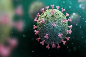 ۳۱۴ بیمار کرونایی در استان کرمان بستری هستند 