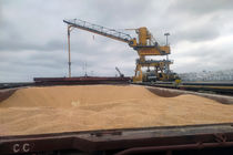 واردات و ترخیص نهاده‌های دامی در مازندران بدون وقفه ادامه دارد