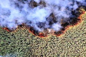 بخش عراقی تالاب هورالعظیم در آتش می سوزد