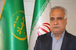 213 پروژه کشاورزی در هرمزگان بهره برداری می شود