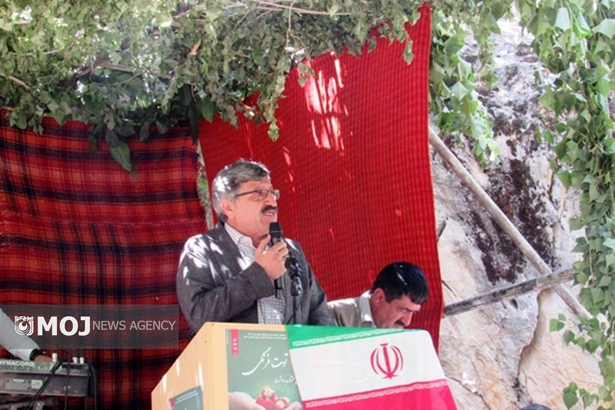 سید محسن علوی