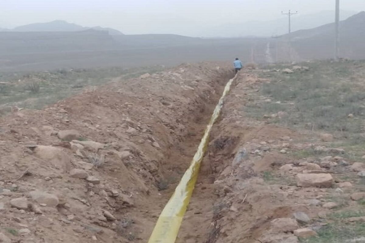 فیبر خاکی