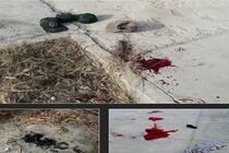 اسامی مجروحان حادثه تروریستی نیکشهر مشخص شد
