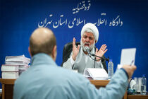 وکیل یکی از شکات: دو متهم این پرونده دو بال «بابک زنجانی» بودند