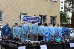 دستگیری 320 سارق و مالخر طی ایام نوروز در شیراز