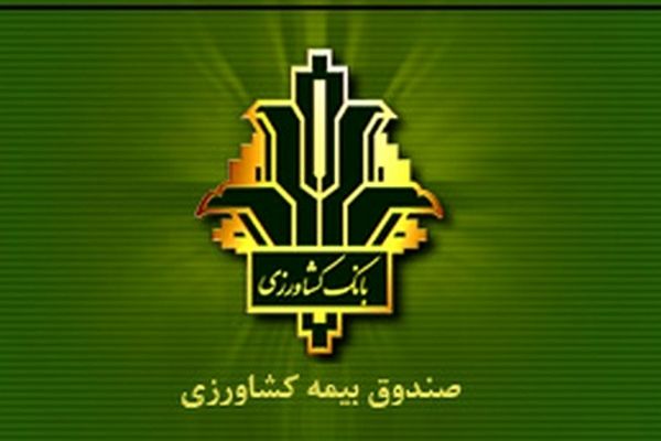 افزایش 140 درصدی غرامت پرداختی به کشاورزان خسارت دیده / جهش ۱۵۰ درصدی تعهدات بیمه گندم