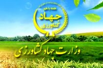 411 میلیارد تومان غرامت به کشاورزان خسارت دیده ناشی از سیل پرداخت شد