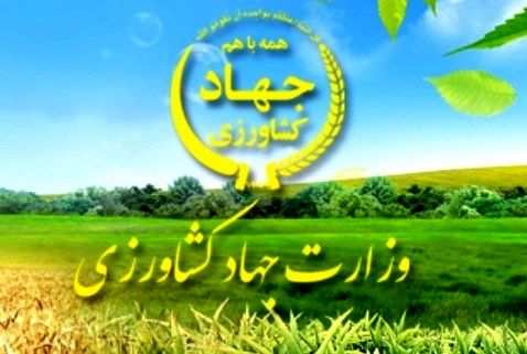 411 میلیارد تومان غرامت به کشاورزان خسارت دیده ناشی از سیل پرداخت شد