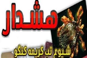 فصل گرما عامل افزایش انتقال کریمه کنگو از دام به انسان است