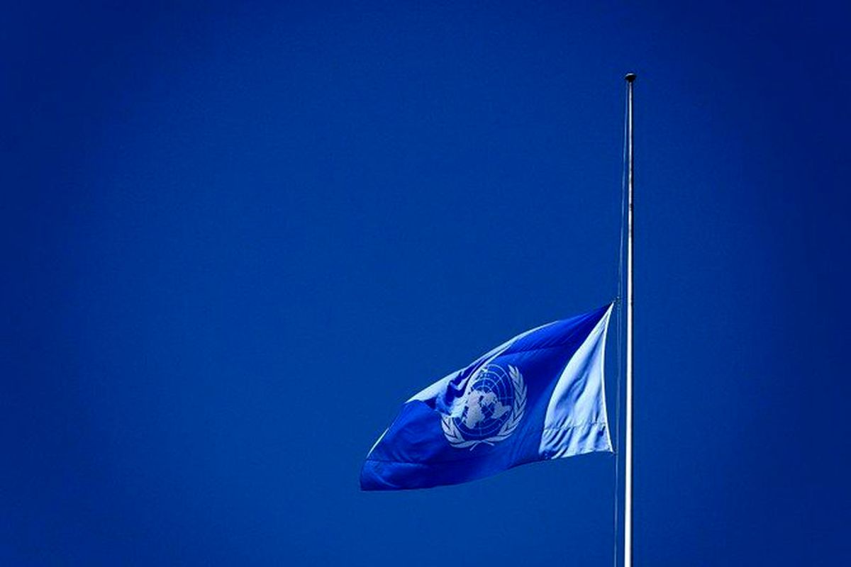 سازمان ملل