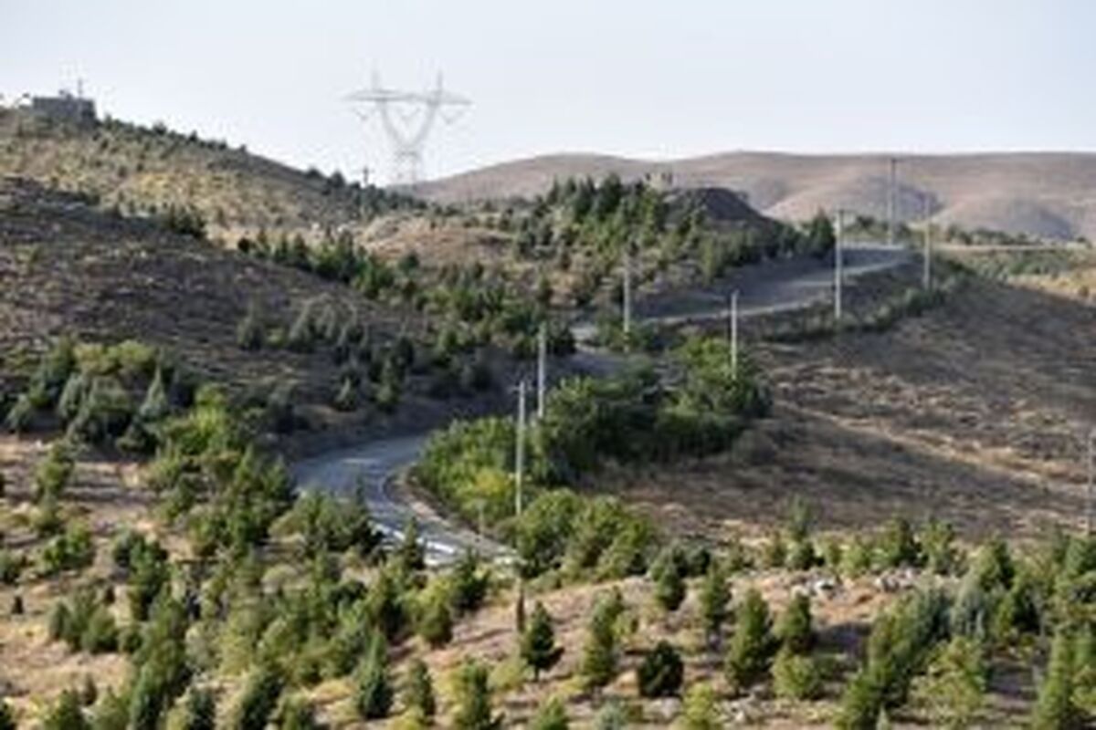 محیط زیست