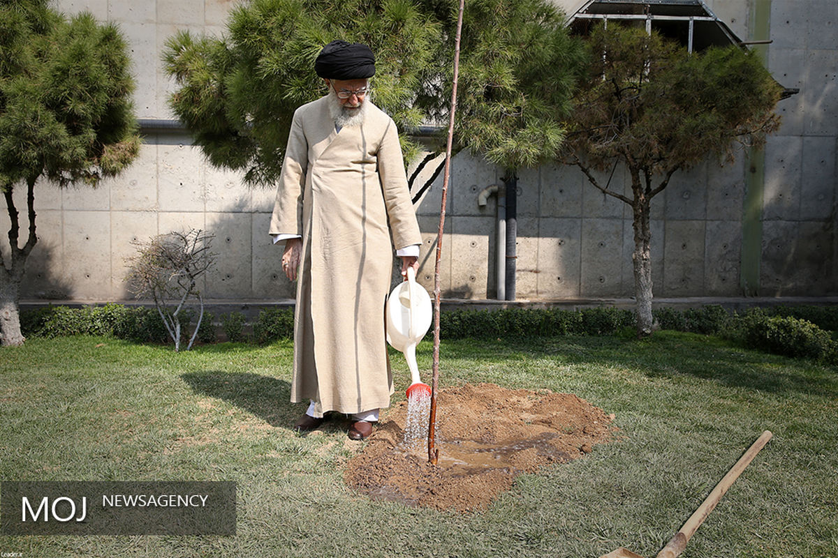 کاشت دو اصله نهال میوه توسط مقام معظم رهبری