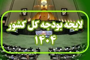 جزئیات ایراد هیئت عالی مجمع تشخیص مصلحت نظام و همچنین شورای نگهبان به بخش دوم لایحه بودجه