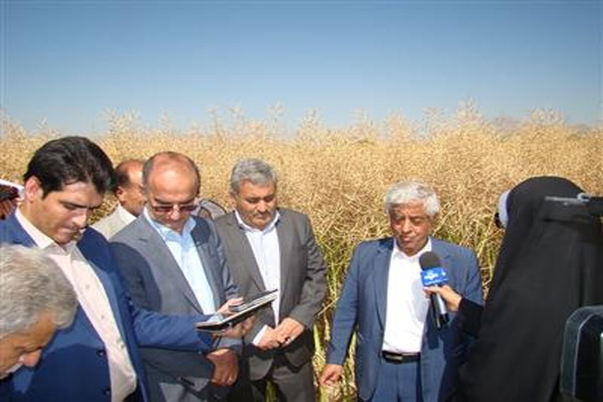 معاون وزیر جهاد کشاورزی