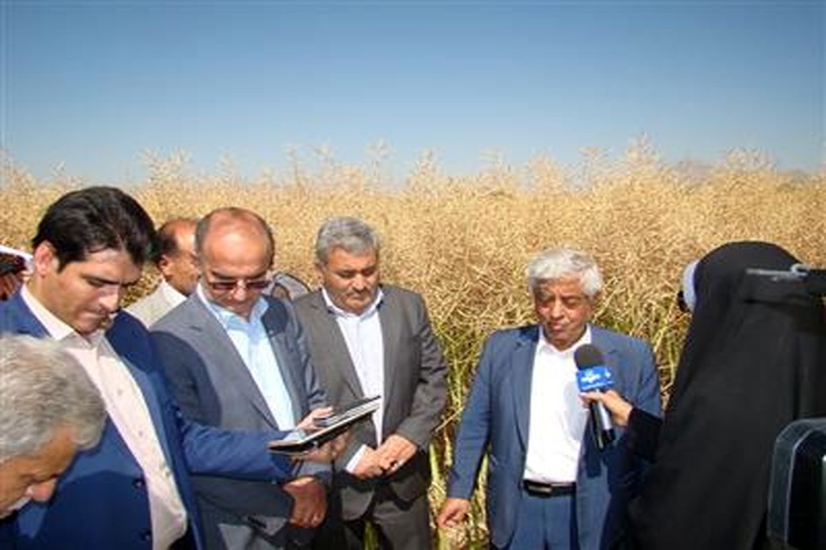 معاون وزیر جهاد کشاورزی