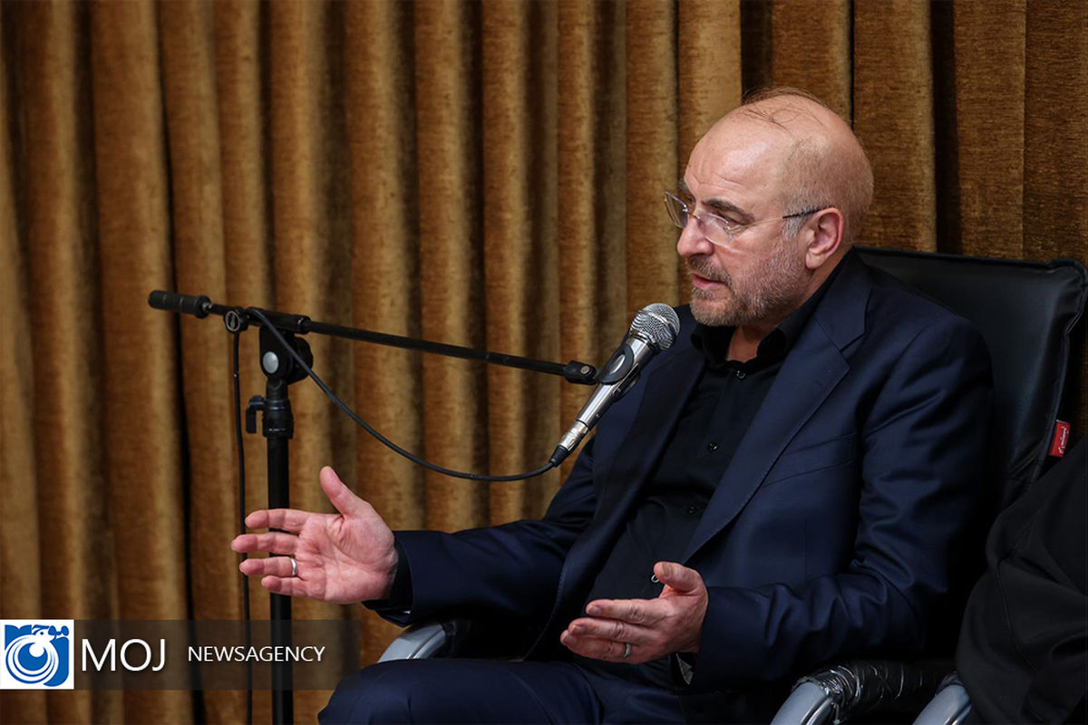 دیدار رئیس مجلس شورای اسلامی با مراجع عظام تقلید در قم (31) copy