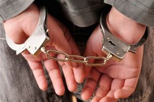 پرده از راز 12 فقره سرقت در بندرعباس برداشته شد