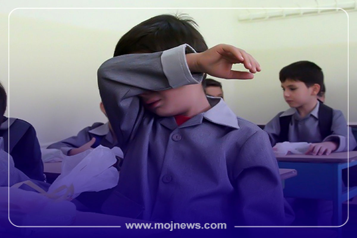 کاور  گریه کلاس اولی موج