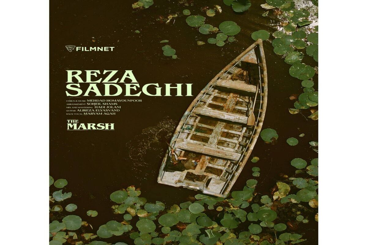 رضا صادقی