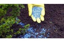 توزیع 1500 تن کود به کشاورزان جویباری