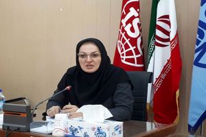 حرف N کد شناسایی طلای استاندارد بازار کردستان است