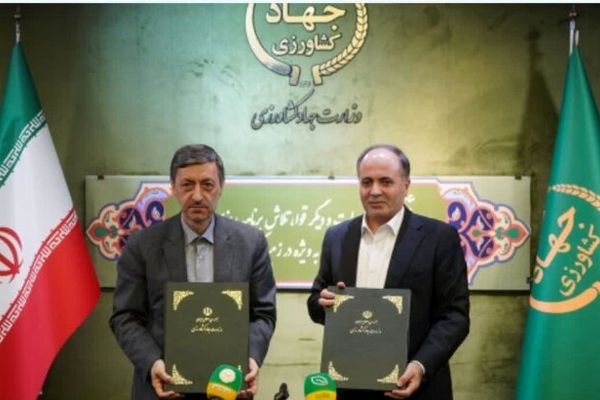 ستاد اجرایی فرمان امام با وزارت جهاد کشاورزی برای تولید برنج و گوشت تفاهم کردند