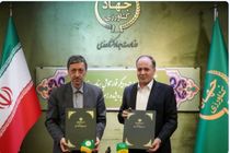 ستاد اجرایی فرمان امام با وزارت جهاد کشاورزی برای تولید برنج و گوشت تفاهم کردند