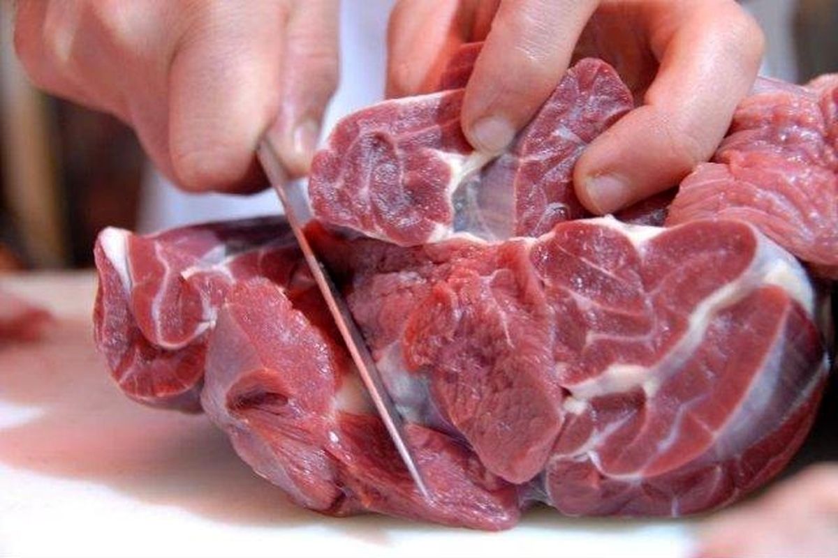 بیماری