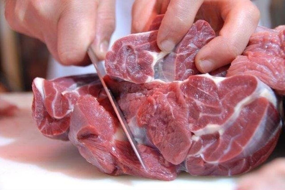 تب کریمه کنگو در خوزستان