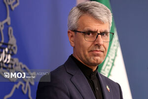 سخنگوی وزارت امور خارجه به مناسبت روز فردوسی نوشت
