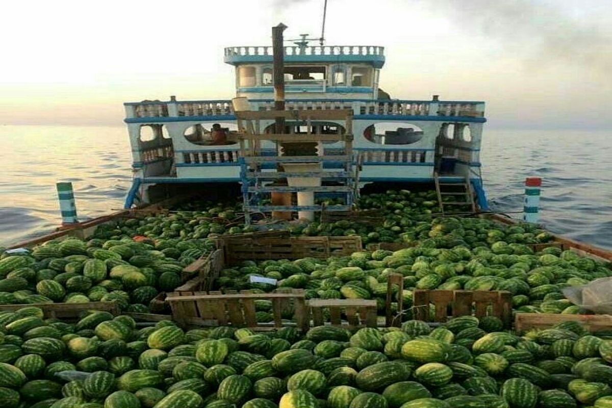 هنودانه+صادرات