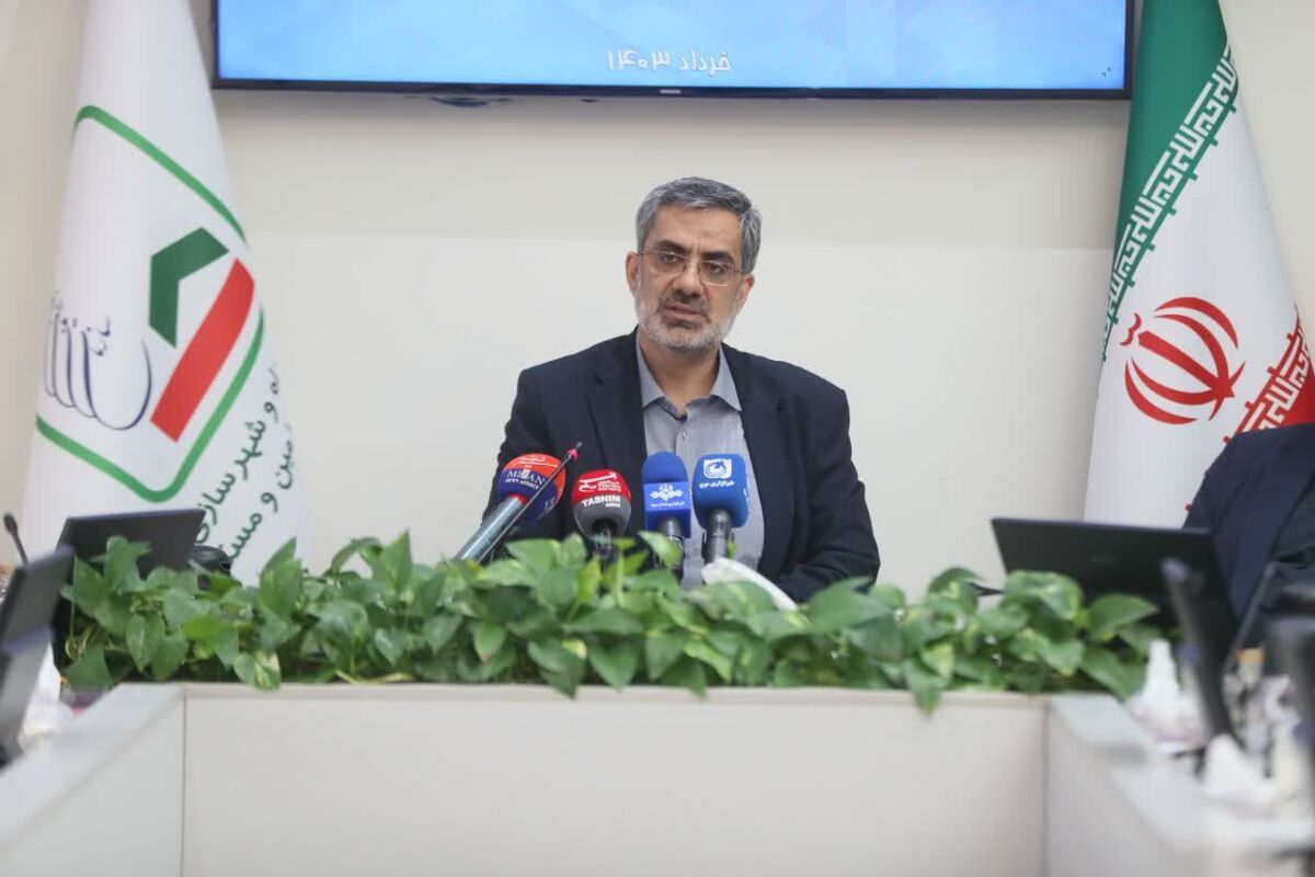 مدیرعامل سازمان ملی زمین و مسکن