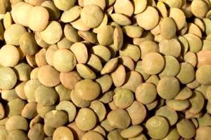 کشف 121 تن  عدس خارجی قاچاق در اصفهان 