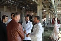 دیوان محاسبات در کنار دستگاه های اجرایی است